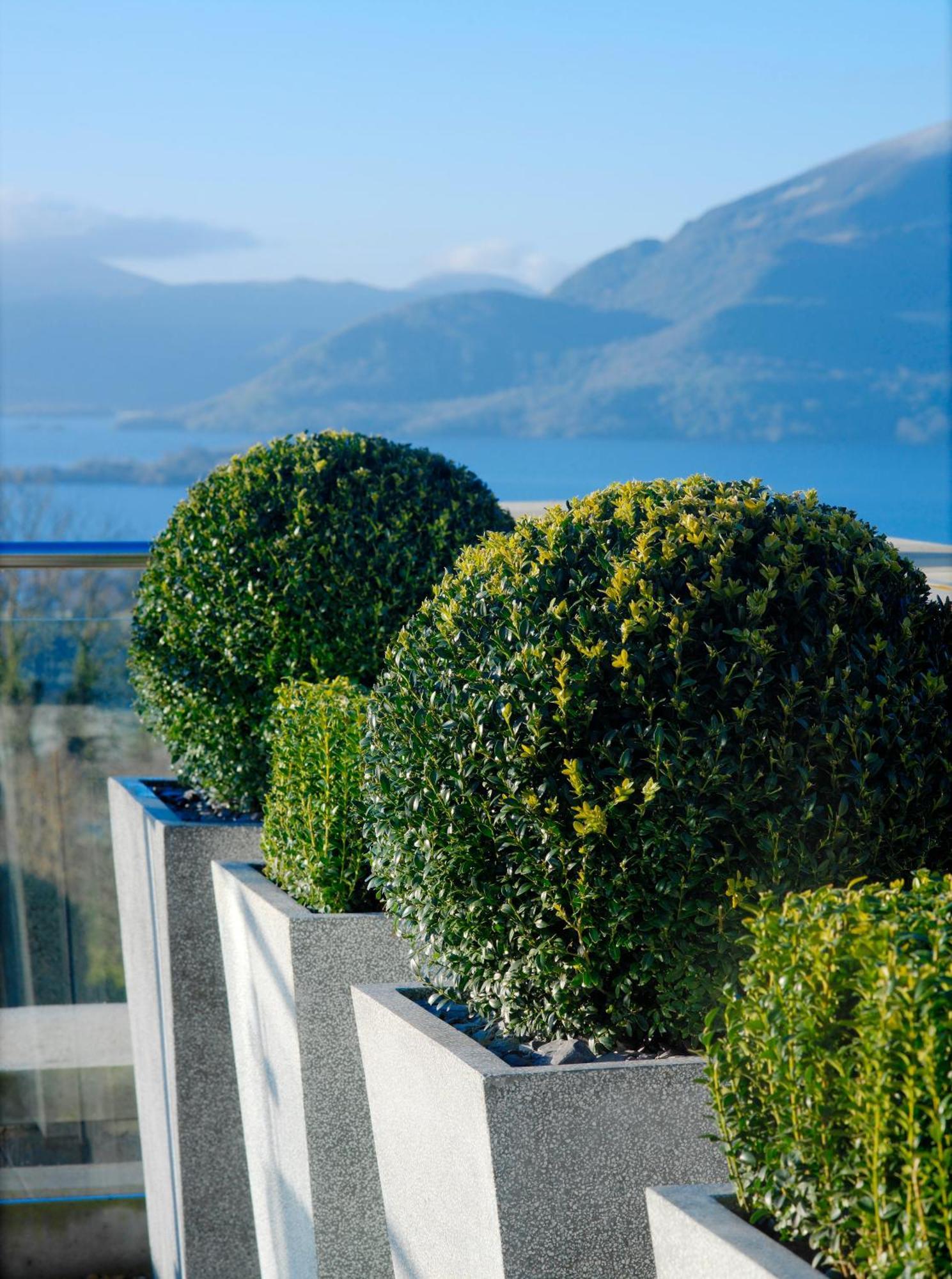 Aghadoe Heights Hotel & Spa Killarney Exterior photo Boxwood